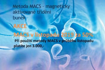 Jak vybrat spermie nejvyšší kvality?