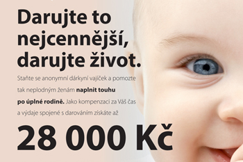 Darování vajíček NOVÉ BENEFITY